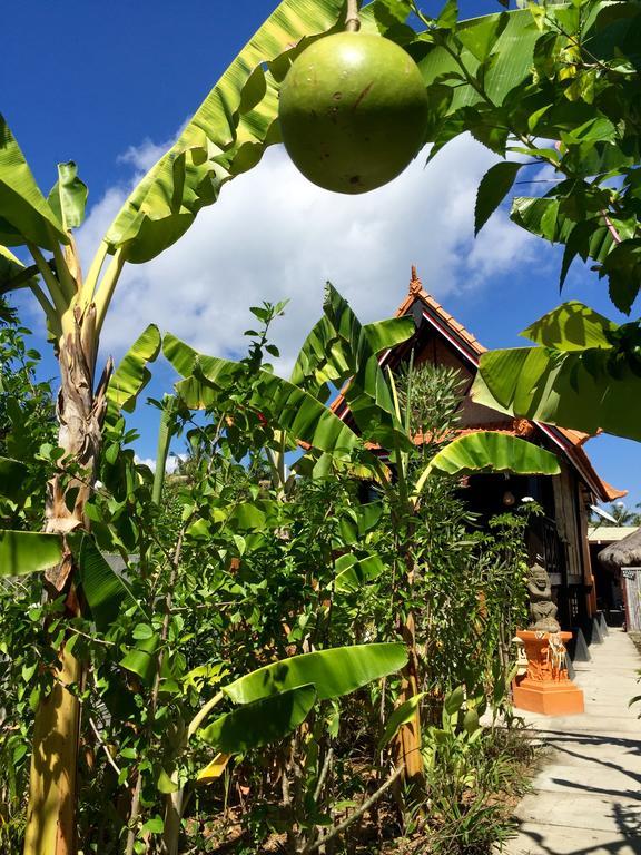 Mahogany Cottage Gili Meno Exteriör bild